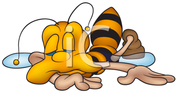 Insect Clipart