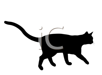 Pet Clipart