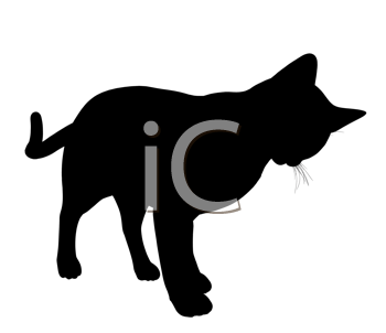 Pet Clipart