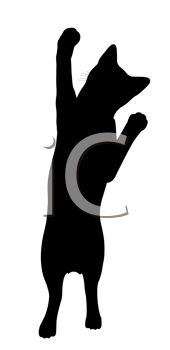 Pet Clipart