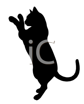Pet Clipart