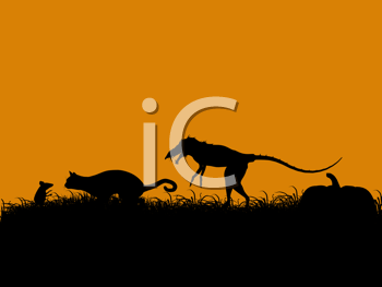 Pet Clipart