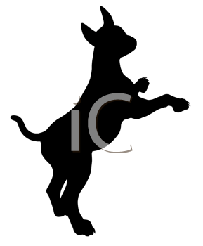 Pet Clipart