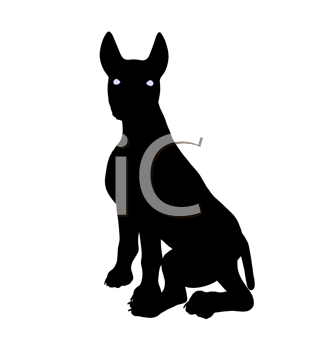 Pet Clipart