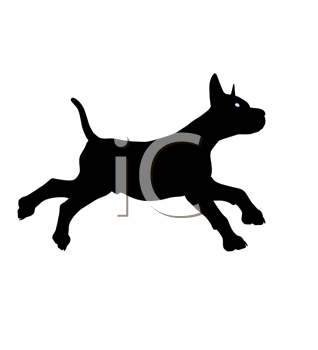 Pet Clipart