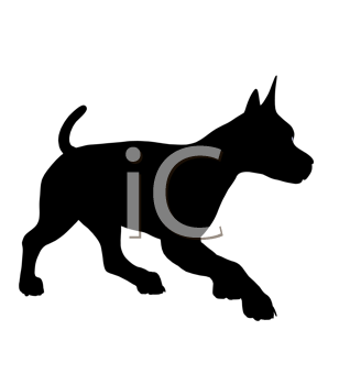 Pet Clipart