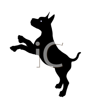 Pet Clipart