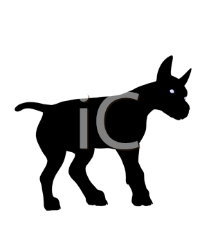 Pet Clipart