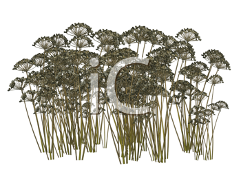Grass and Tree Clipart