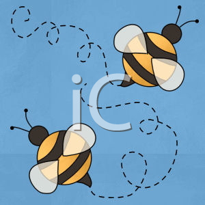 Insect Clipart