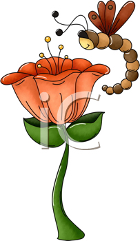 Insect Clipart