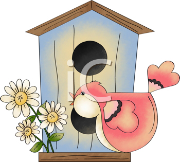 Bird Clipart