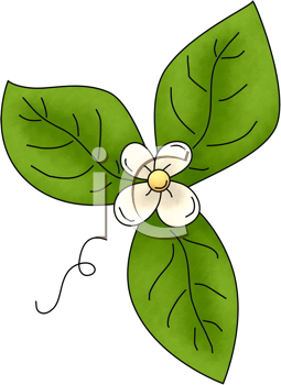 Nature and Scenic Clipart