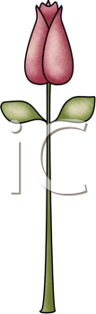 Flower Clipart