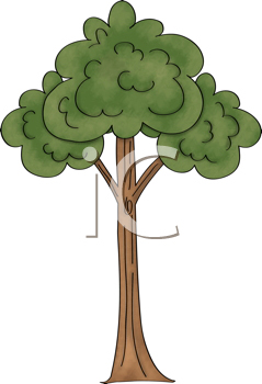 Nature and Scenic Clipart