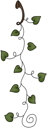 Plant Clipart