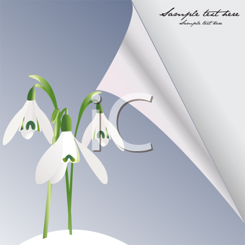 Flower Clipart