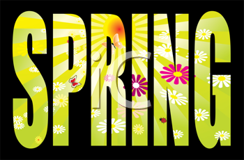 Insect Clipart