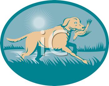 Pet Clipart