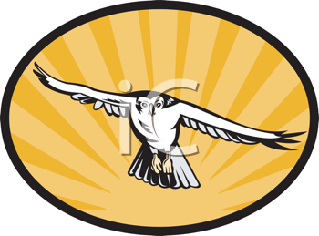 Bird Clipart