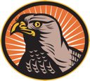 Bird Clipart