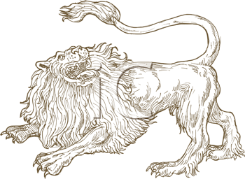 Pet Clipart