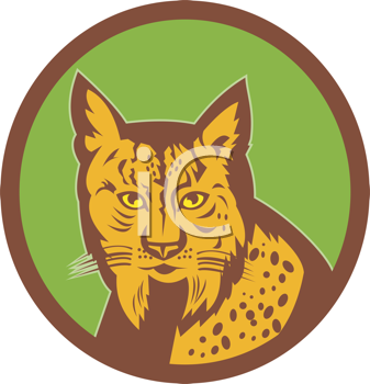 Pet Clipart