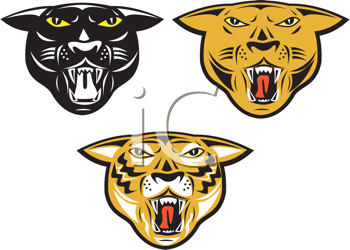 Pet Clipart