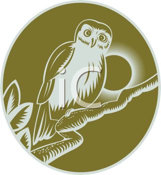 Bird Clipart
