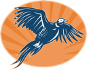 Insect Clipart