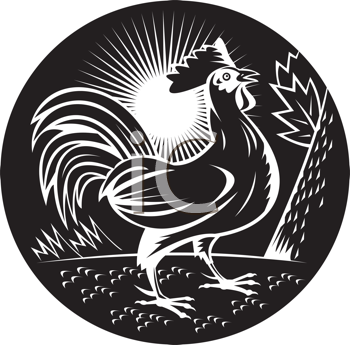 Farm Animal Clipart