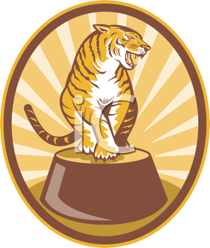 Pet Clipart
