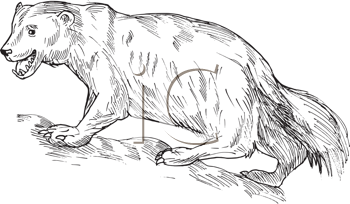 Dog Clipart