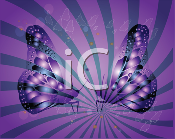 Insect Clipart