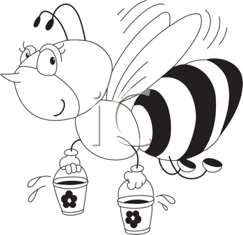 Insect Clipart