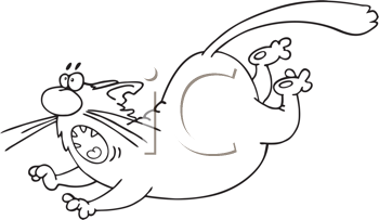 Pet Clipart