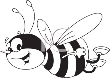 Insect Clipart