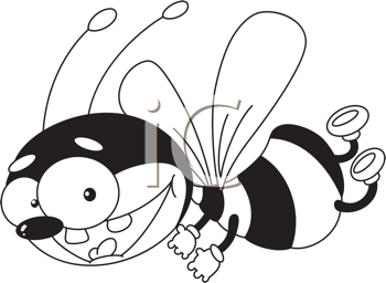 Insect Clipart