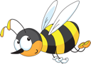 Insect Clipart