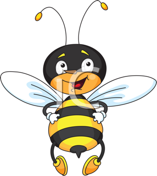 Insect Clipart