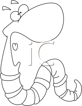 Insect Clipart