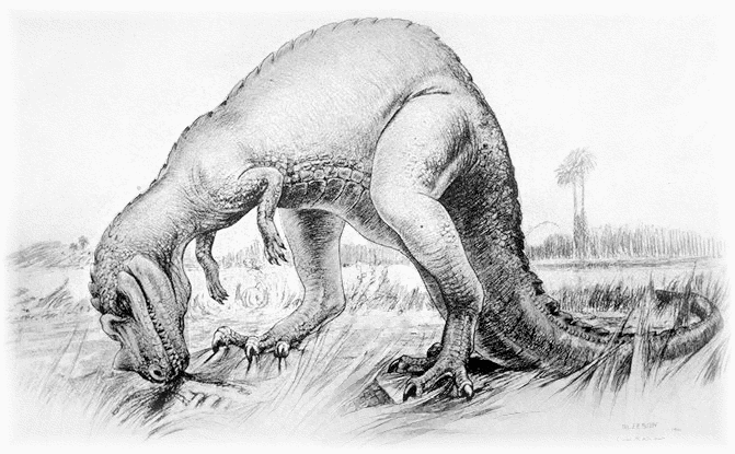 Free Dinosaur Clipart