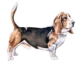 Free B Clipart