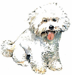 Free B Clipart