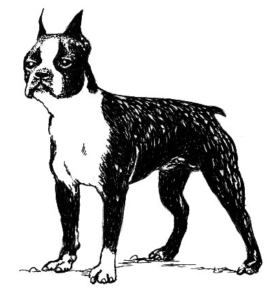 Free B Clipart