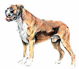 Free B Clipart