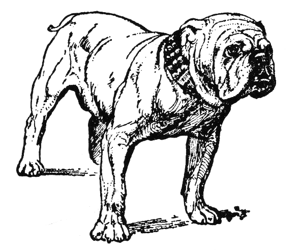 Free B Clipart