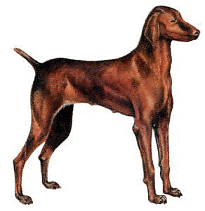 Free H Clipart