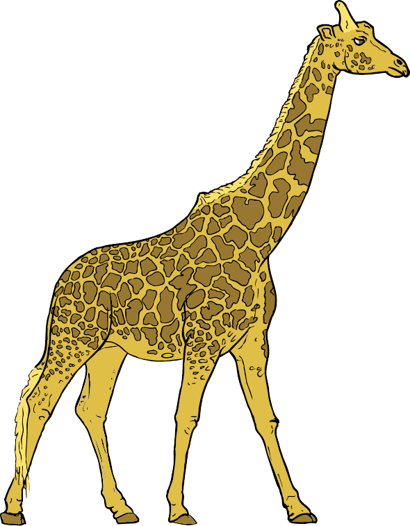 Free Giraffe Clipart