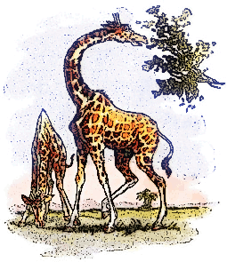 Free Giraffe Clipart